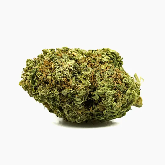Sensimilla Affoltern am Albis - Calanda Kush - 1