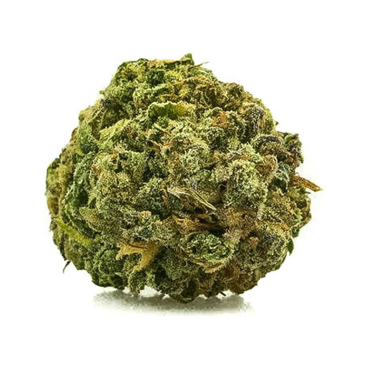 Sensimilla Affoltern am Albis - Tangerine Haze - 1