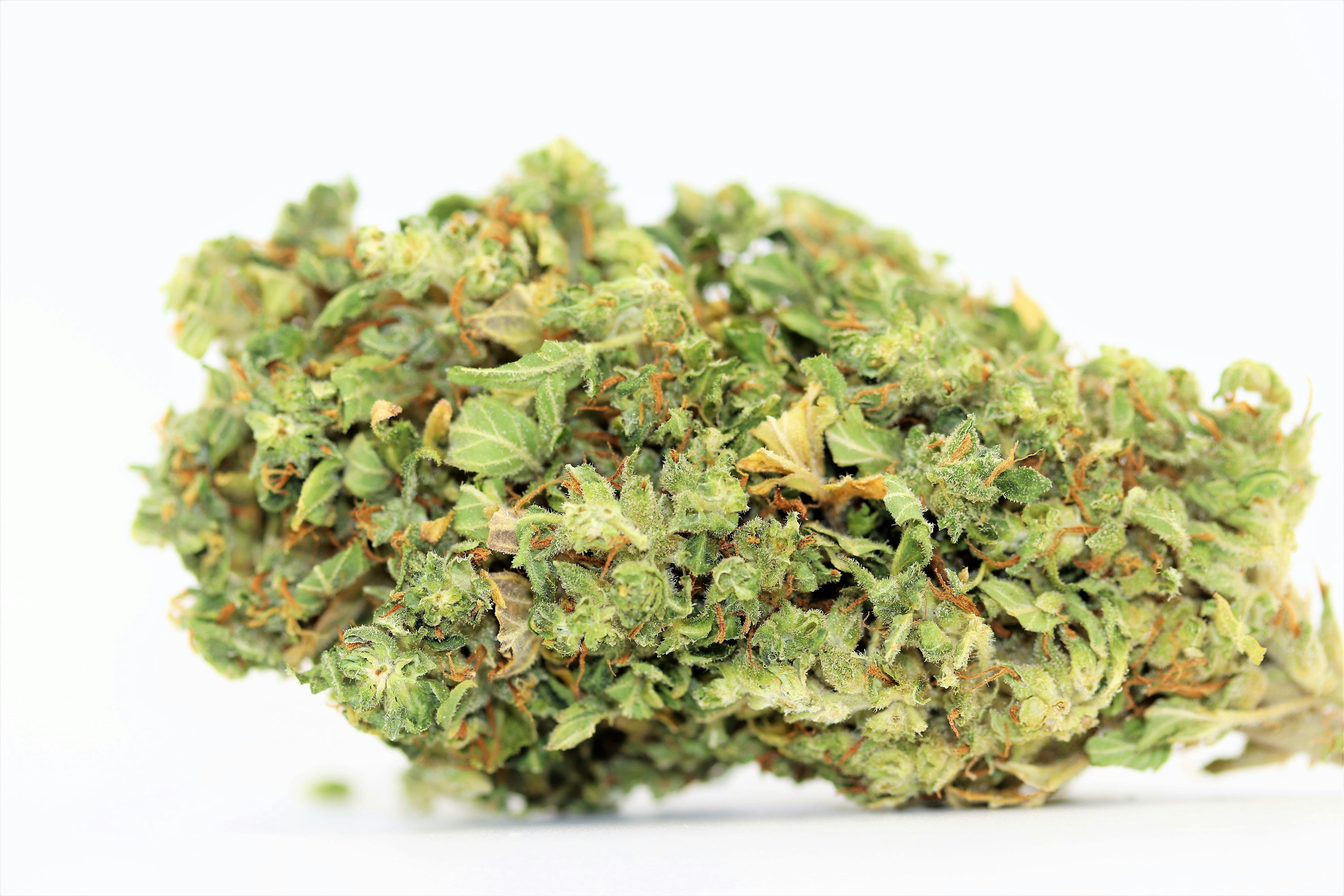 Elevation 207 - Golden Lemon - 1