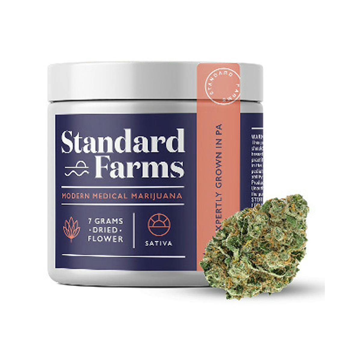 Standard Farms - Super Silver Haze - 1