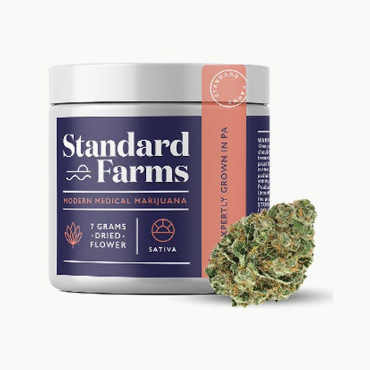 Standard Farms - Super Silver Haze - 1