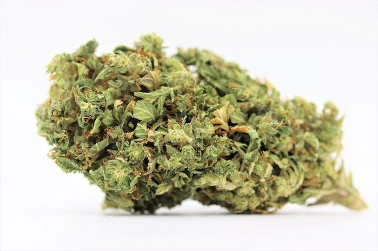 Elevation 207 - Blue City Diesel - 1