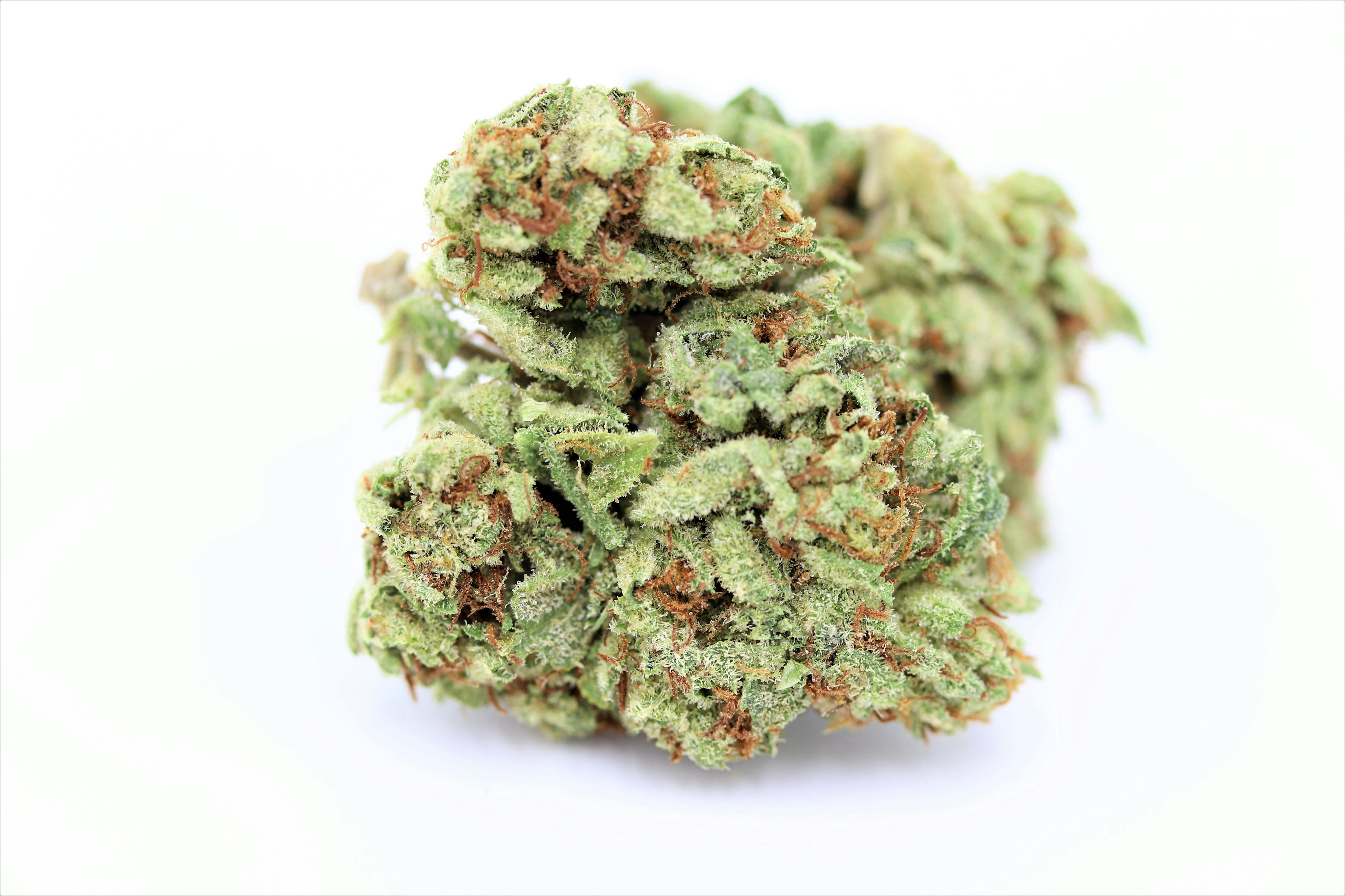Elevation 207 - Elmer's Glue *Special* - 1