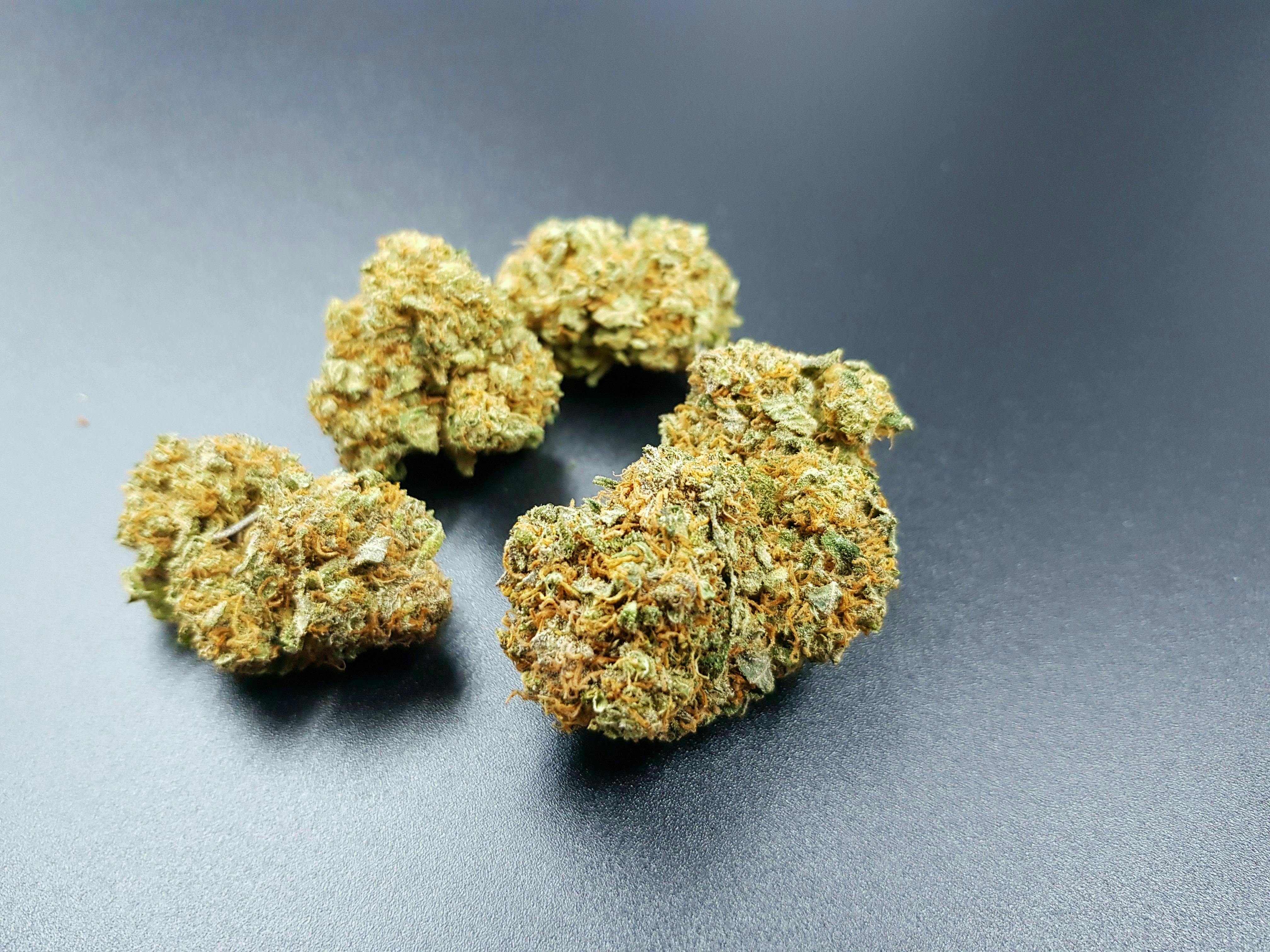 Starbuds Luzern - Blueberry - 1