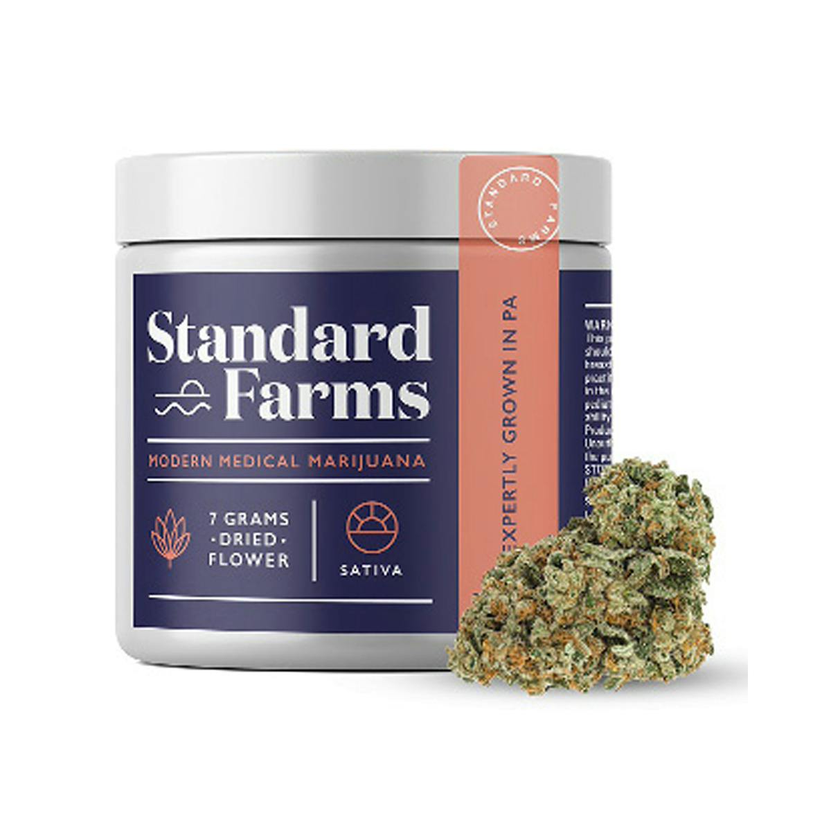 Standard Farms - Cindy 99 - 1
