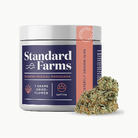 Standard Farms - Cindy 99 - 1