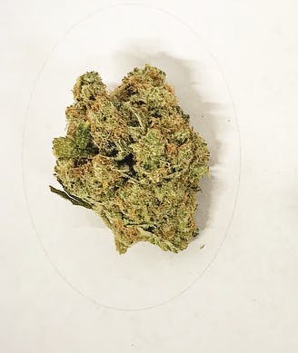 Harvest - Harvest | Sour Diesel | Big Buds | 14g - 1