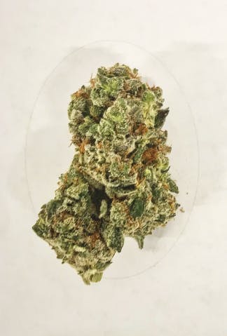 Harvest - Harvest | Grape Kush | Big Buds | 14g - 1