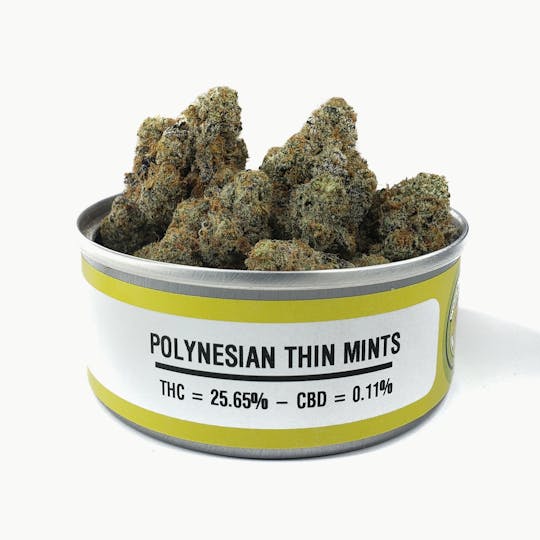 Space Monkey Meds - Polynesian Thin Mints - 1