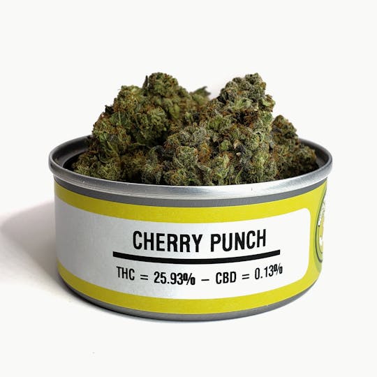 Space Monkey Meds - Cherry Punch - 1