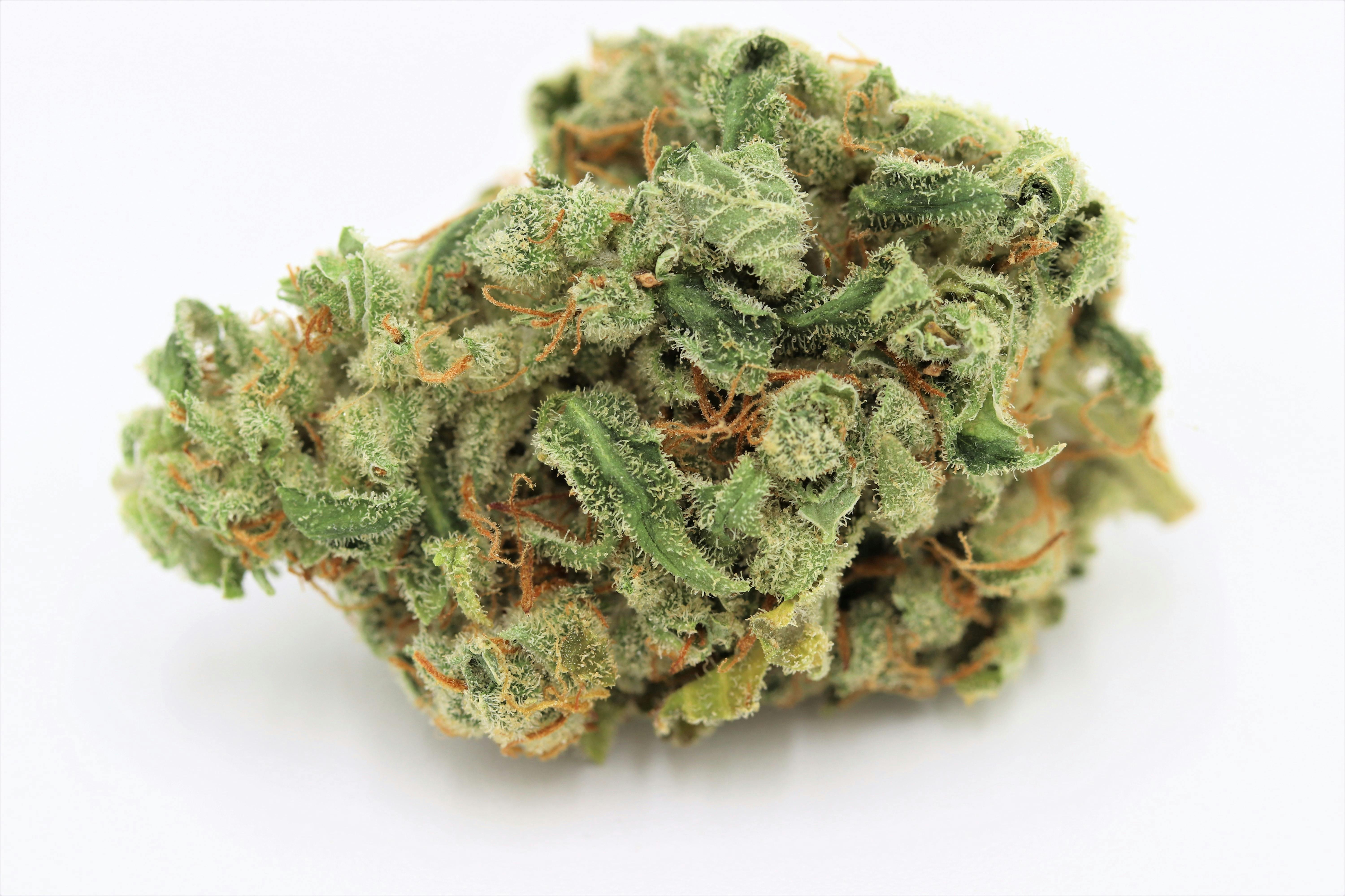 Elevation 207 - Purple Urkle - 1