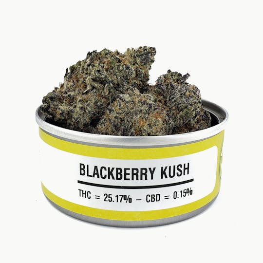 Space Monkey Meds - Blackberry Kush - 1