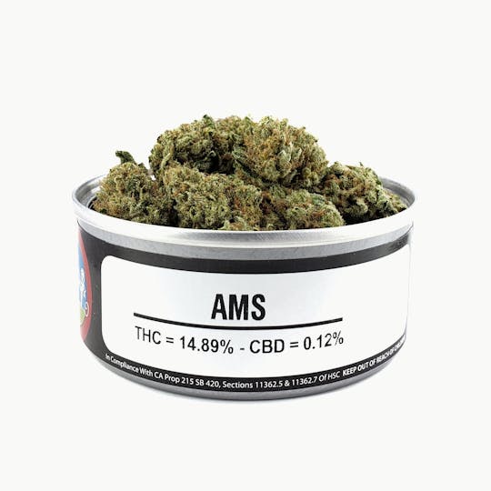 Space Monkey Meds - A.M.S. (Greenhouse) - 1