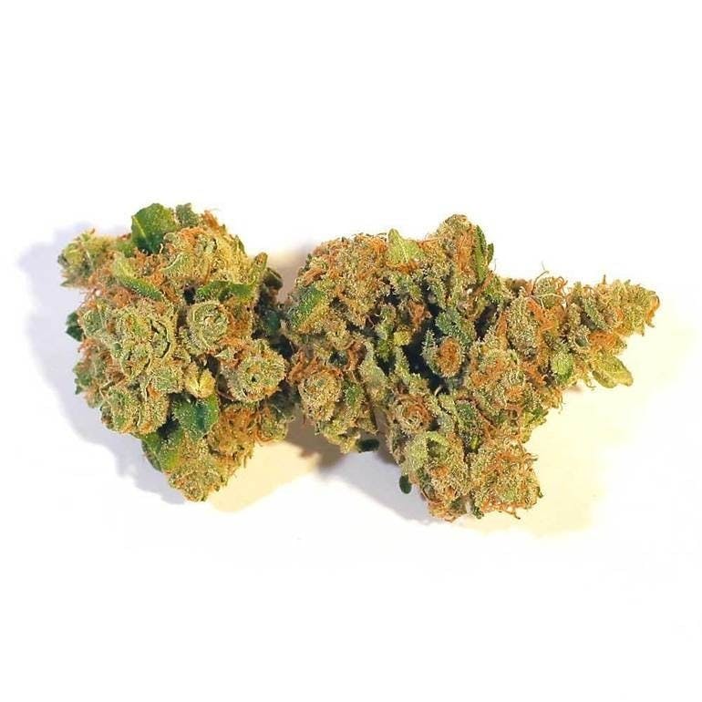 CBDexpress - CBD Harle Tsu - 1