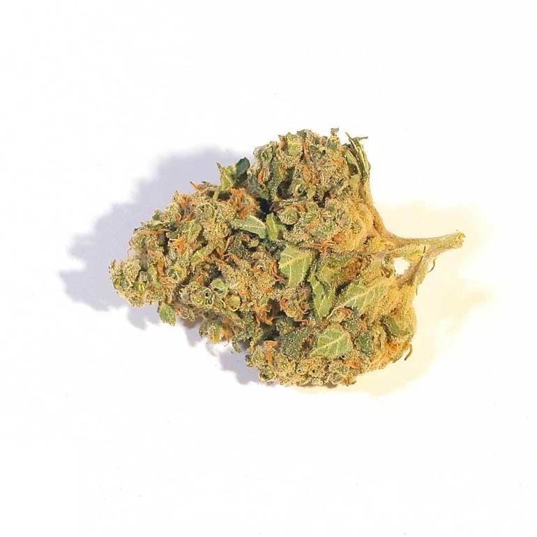 CBDexpress - CBD Harlequin 2.0 - 1
