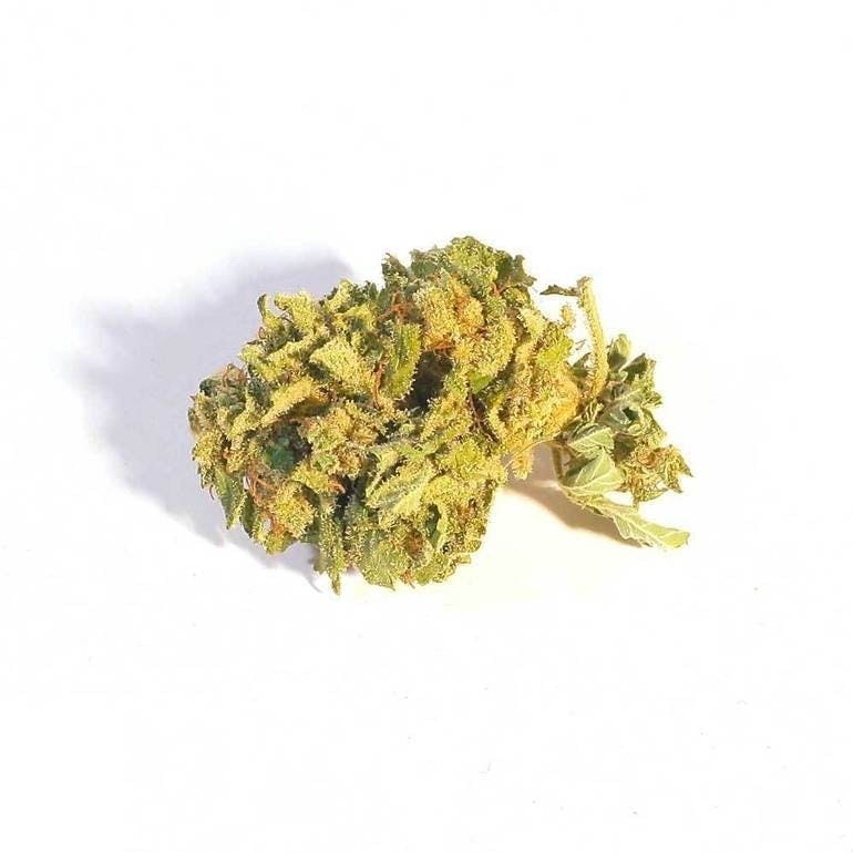 CBDexpress - CBD White Widow Greenhouse - 1