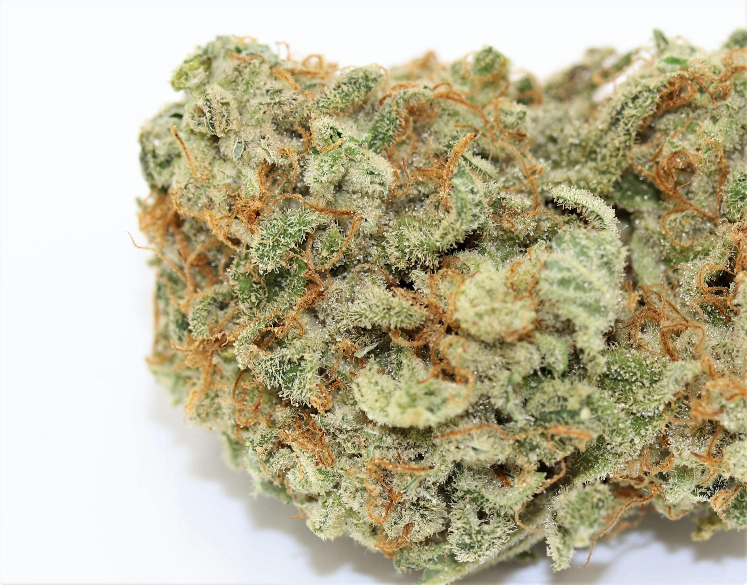 Elevation 207 - Juicy Fruit - 1
