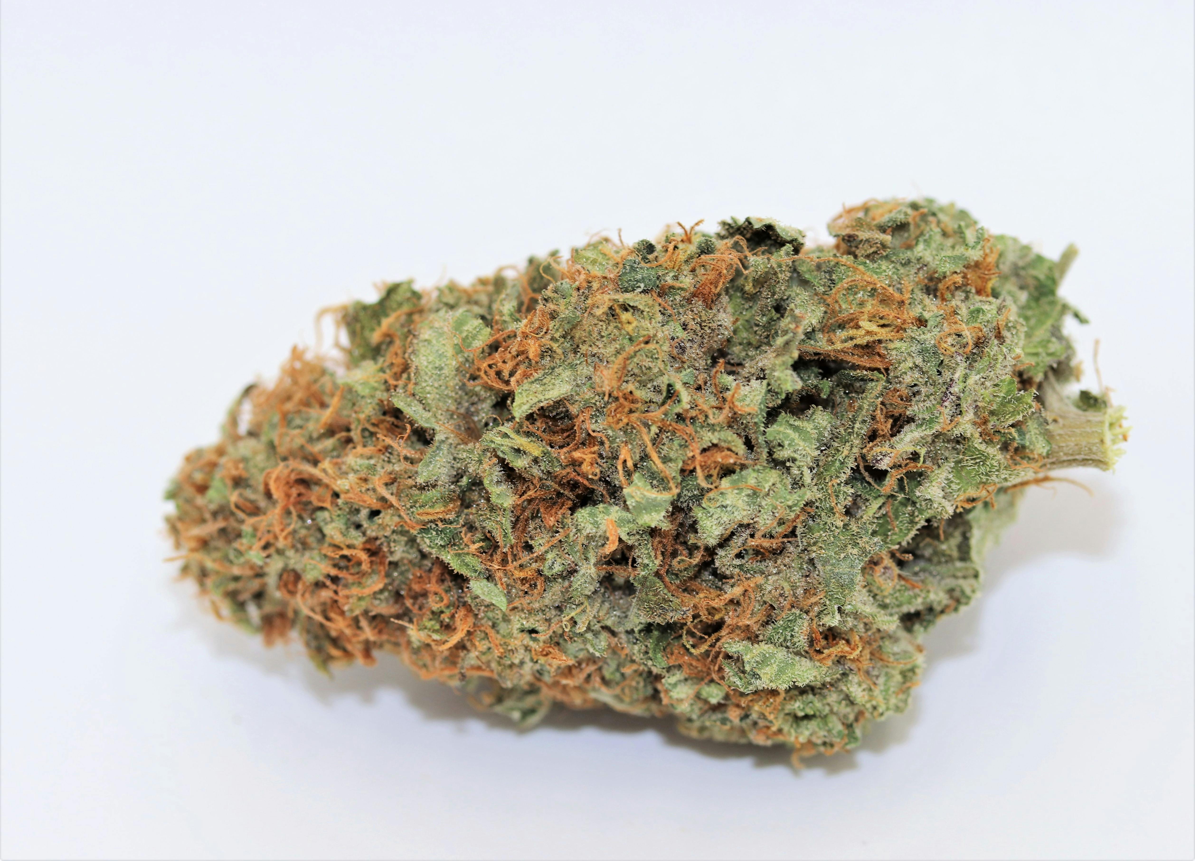 Elevation 207 - Poontang Pie - 1