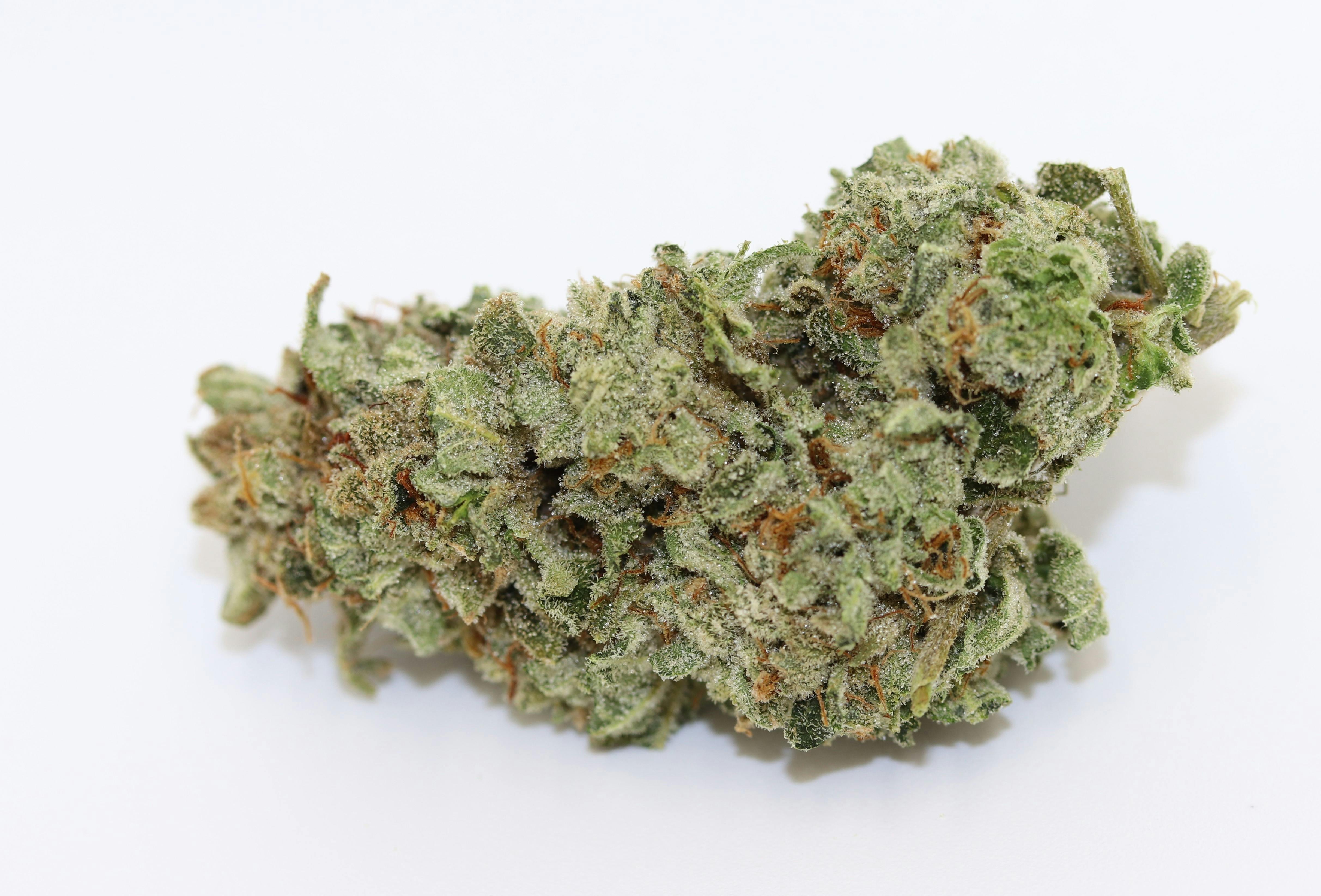 Elevation 207 - Pie Dough - 1