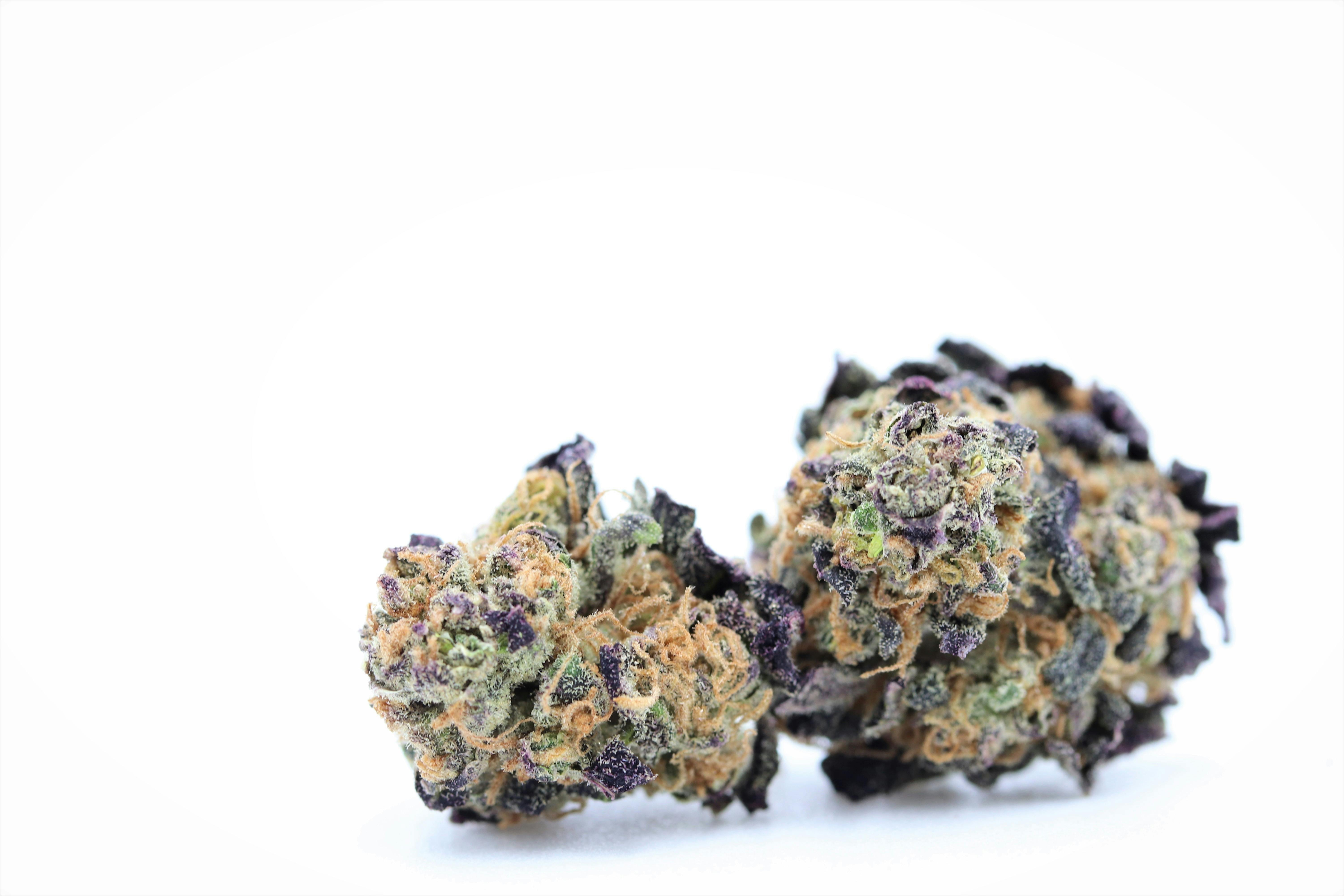 Elevation 207 - Headband *Special* - 1