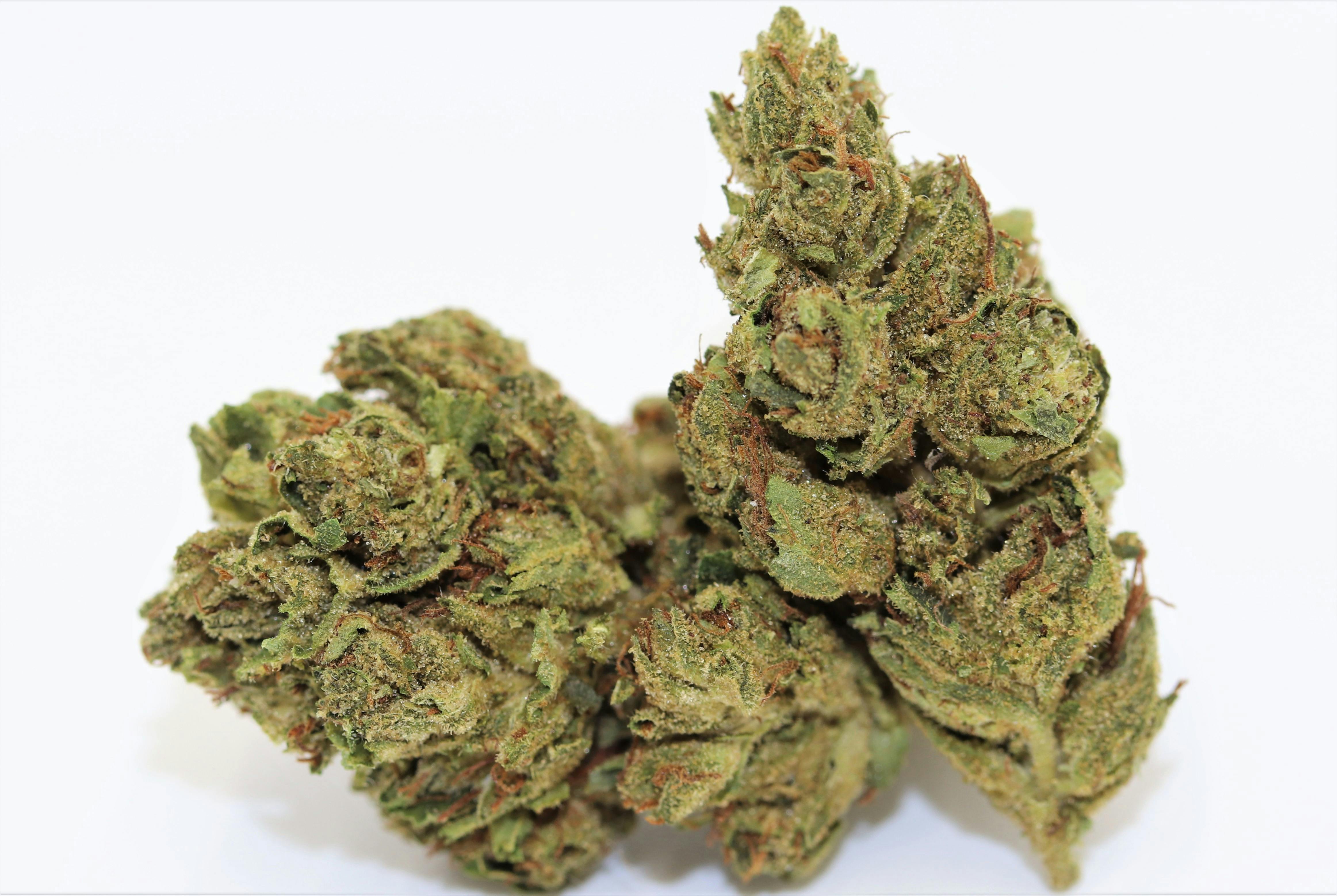 Elevation 207 - OG Kush **Light Deprivation Special** - 1