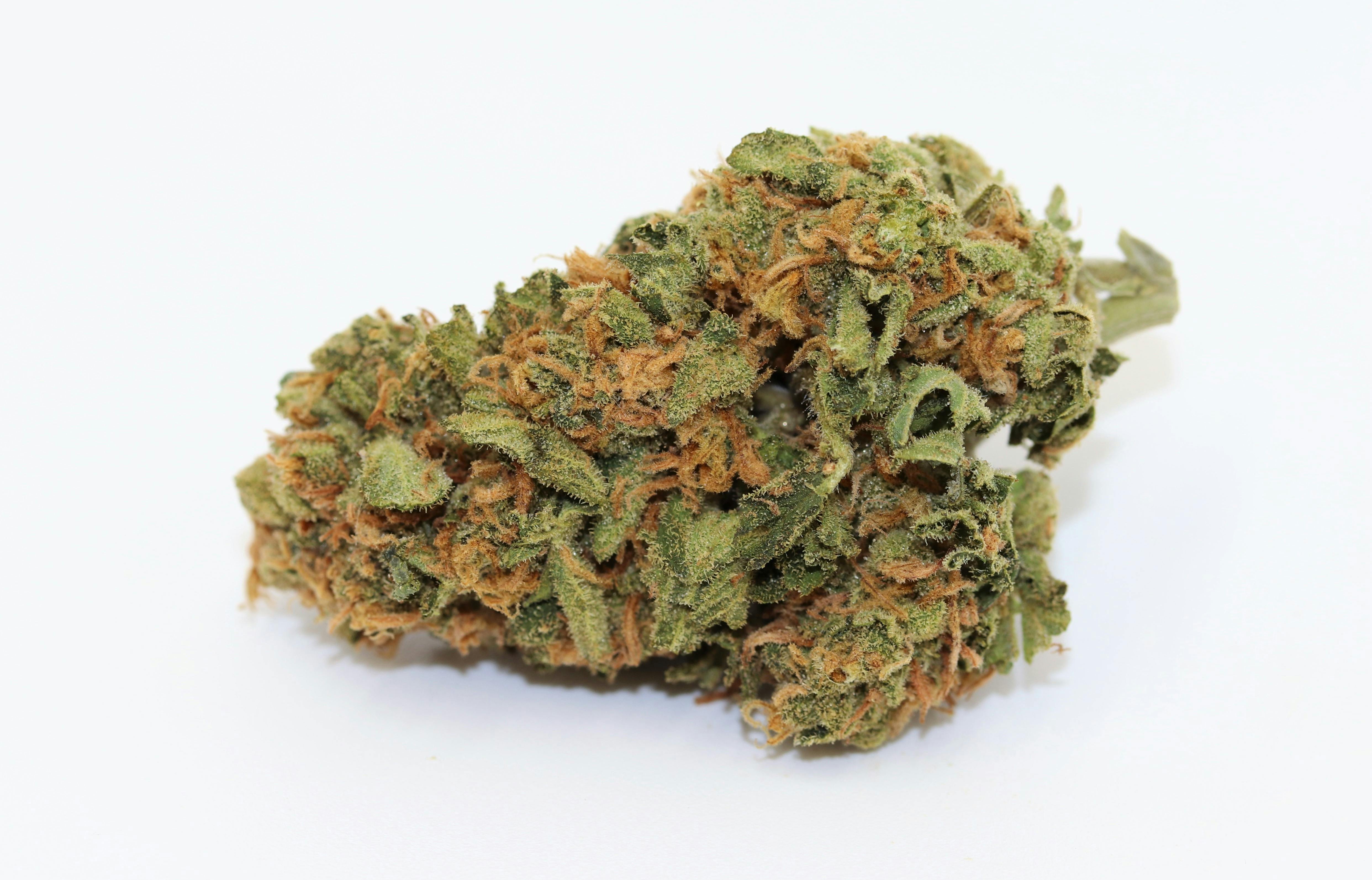 Elevation 207 - Sour Tangie - 1