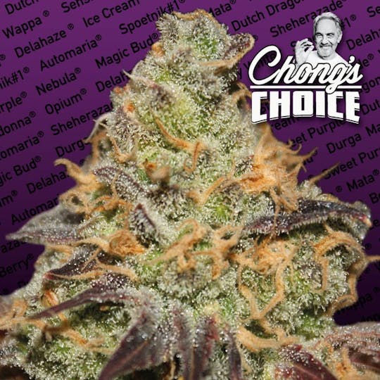 Paradise Seeds - Blue Kush Berry - 1