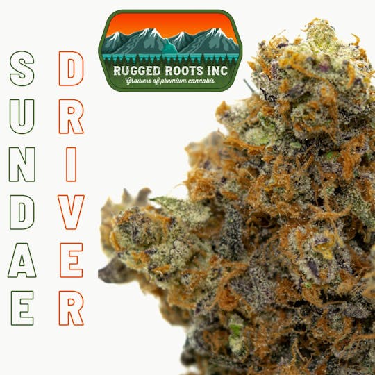 Rugged Roots - Rugged Roots - Sundae Driver 3.5g Flower - 1