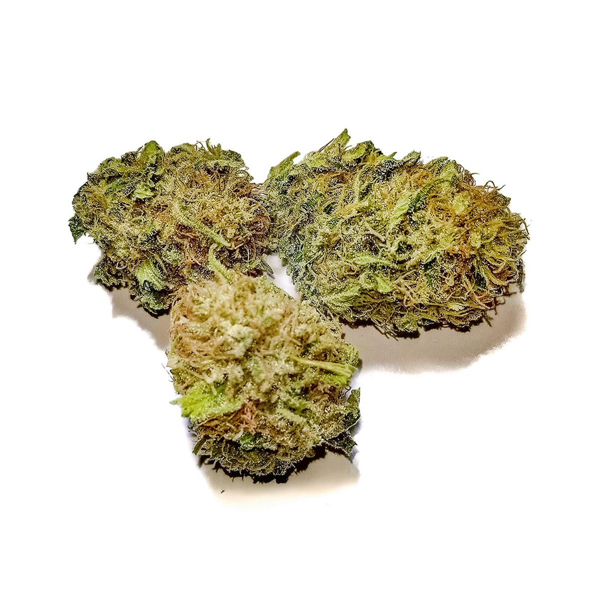 Delightful Hights - Wonder Woman - 1