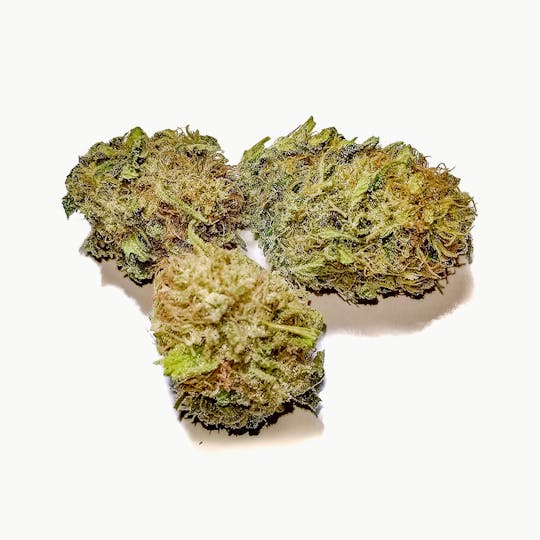 Delightful Hights - Wonder Woman - 1