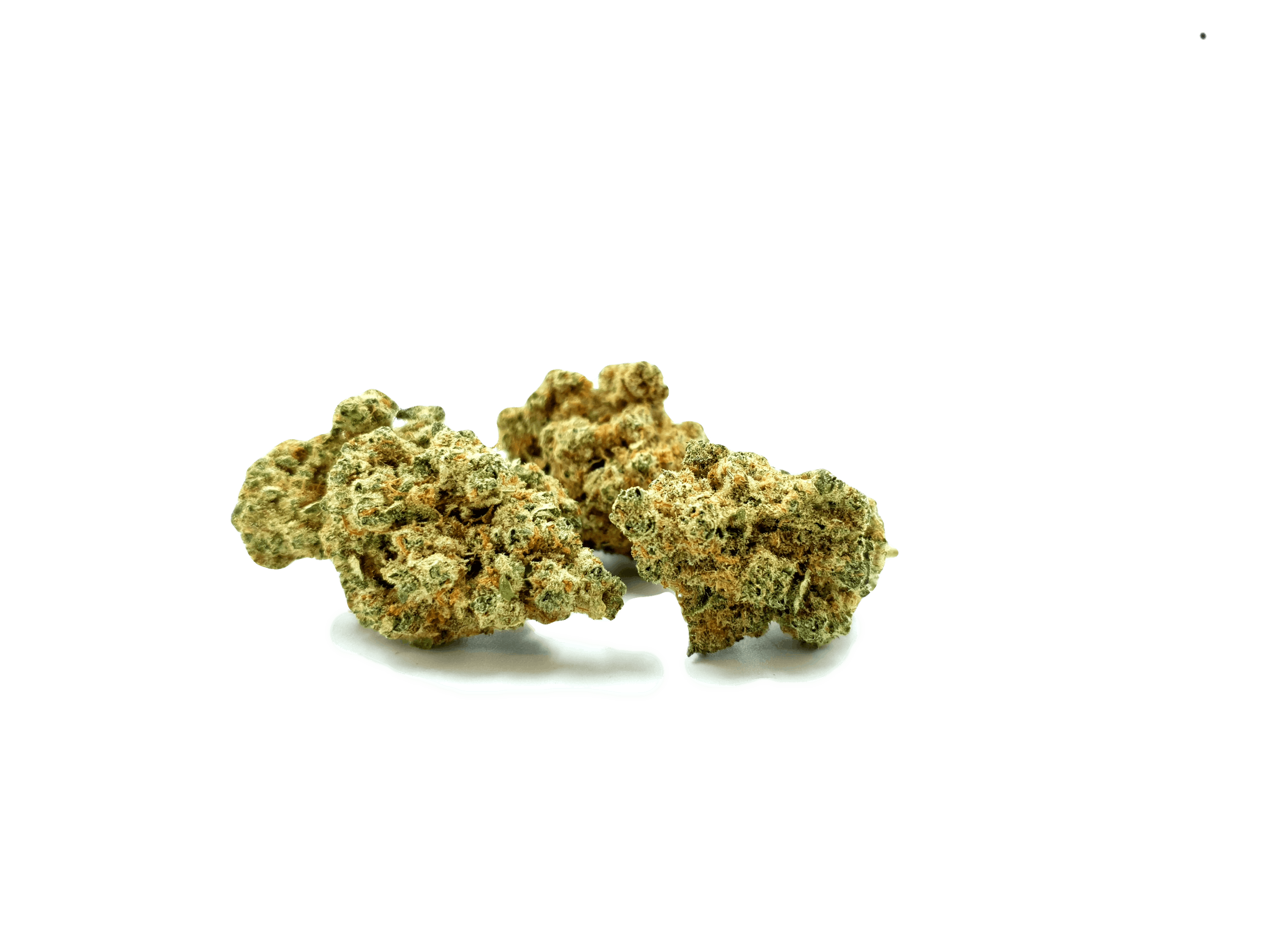 Starbuds Luzern - V-Ice - 1