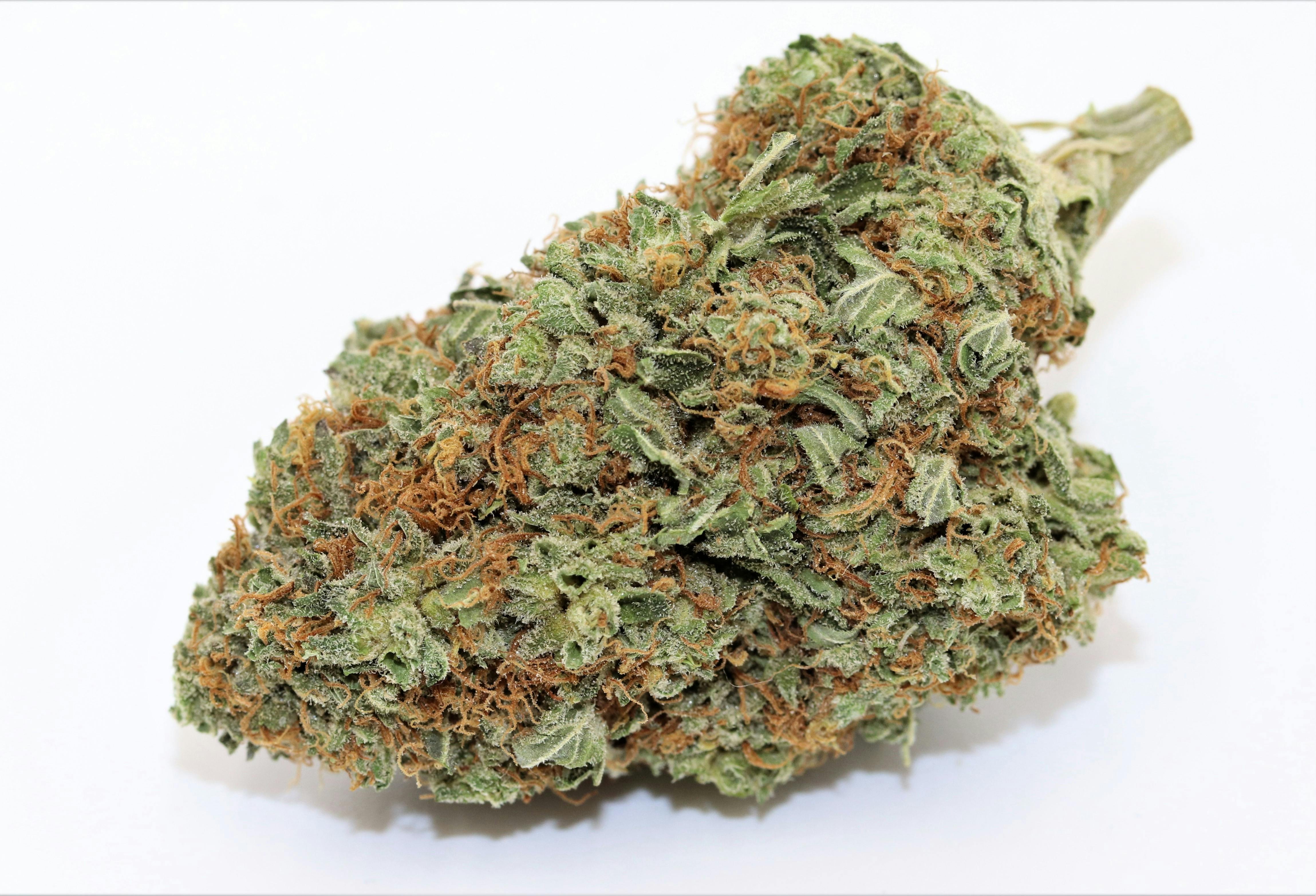 Elevation 207 - White Cream - 1