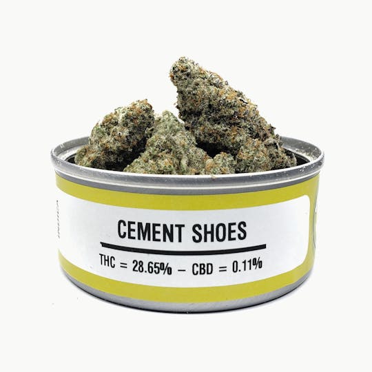 Space Monkey Meds - Cement Shoes - 1