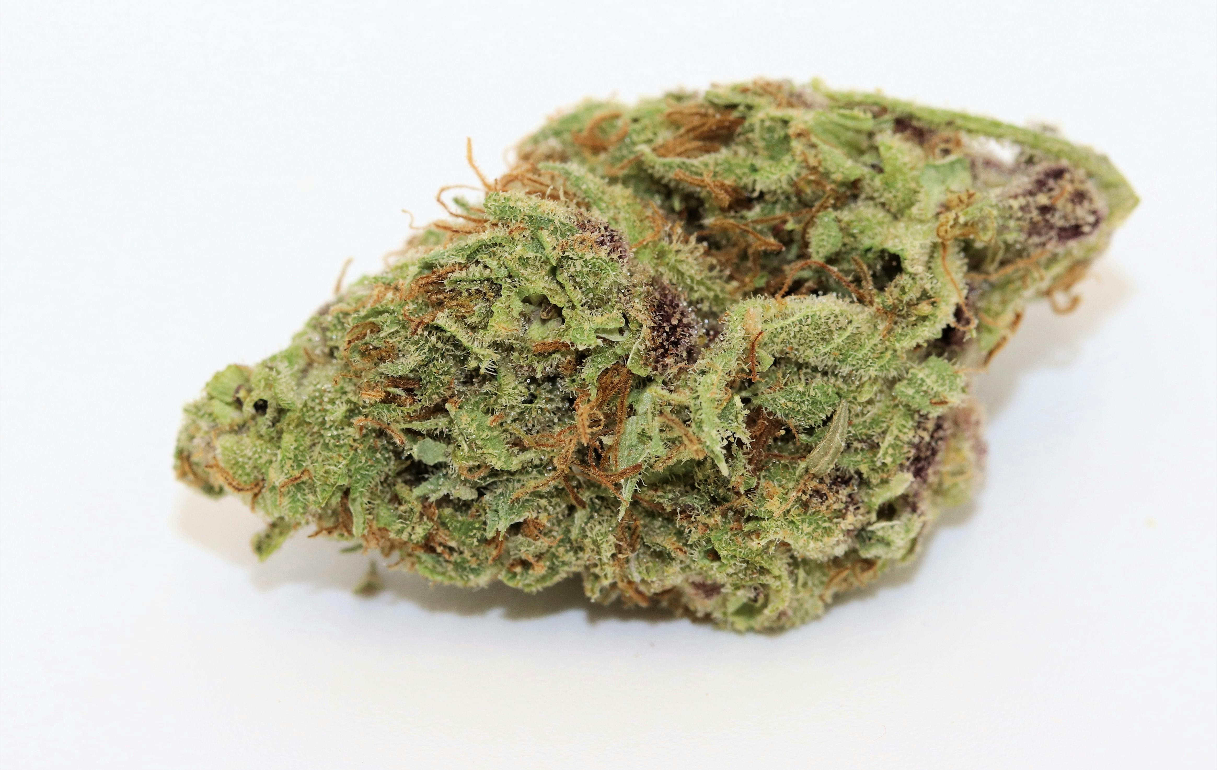 Elevation 207 - Pink Lemonade - 1