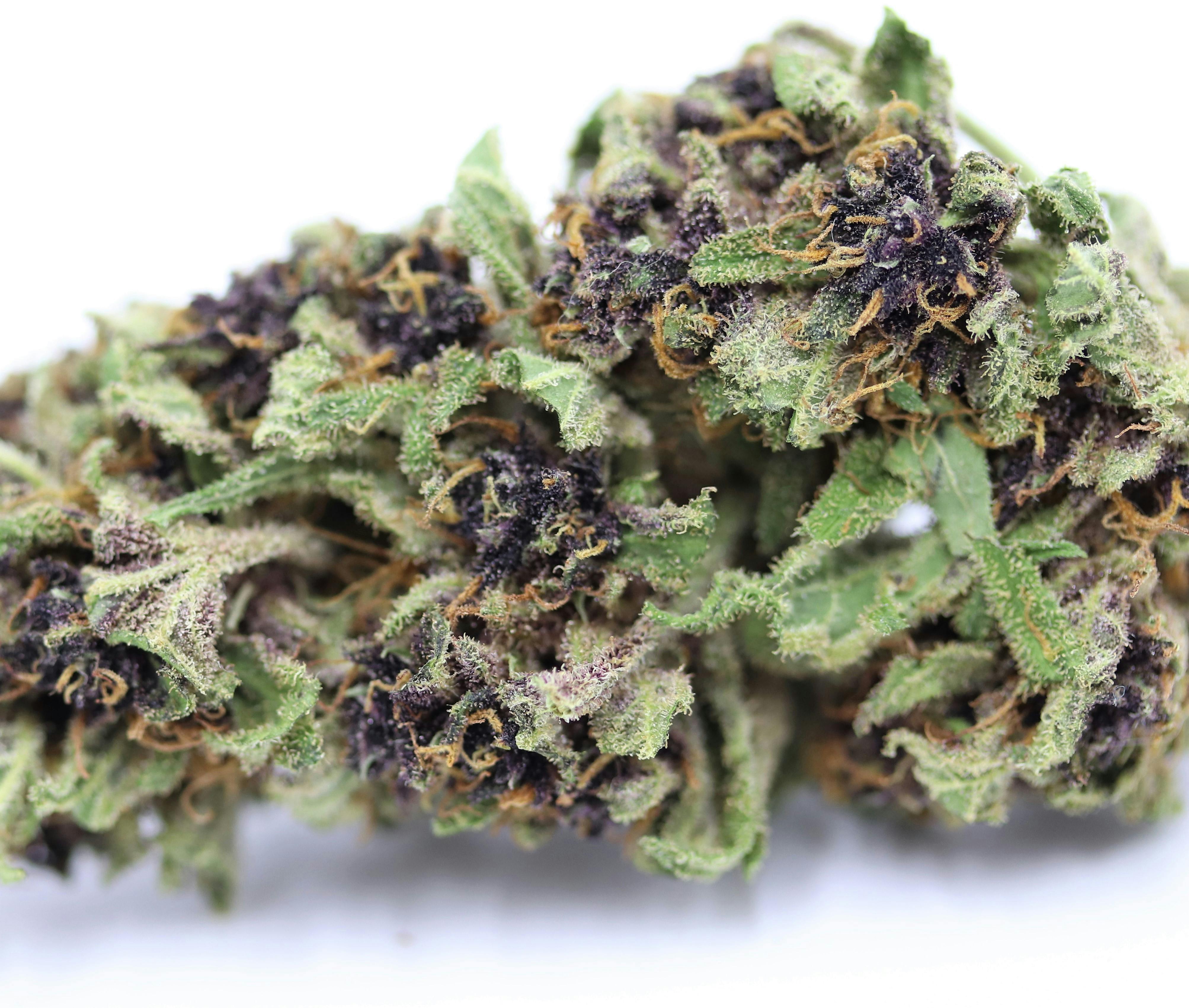 Elevation 207 - Girl Scout Cookies **Outdoor Special** - 1