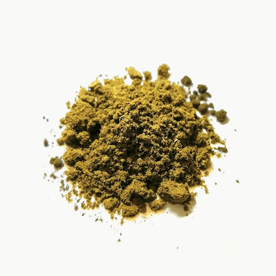 CBD Star - CBD Pollinat - 1