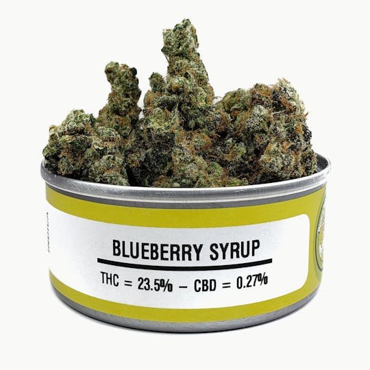 Space Monkey Meds - Blueberry Syrup - 1