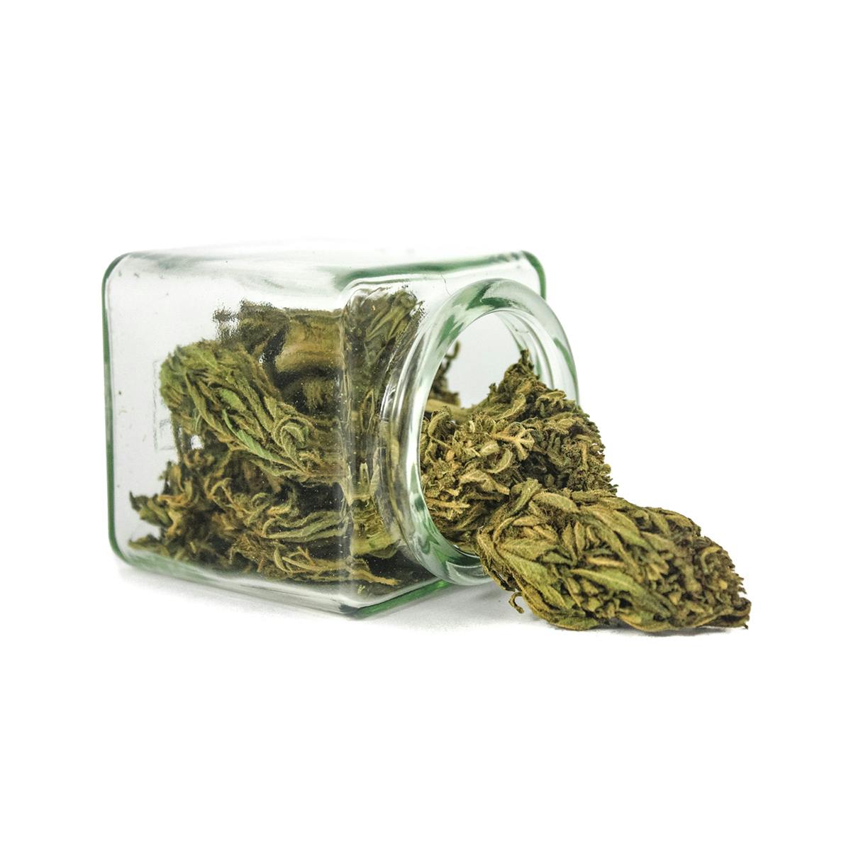 Hanftopia - CBD Blüten Bio Topia - 10g - 1