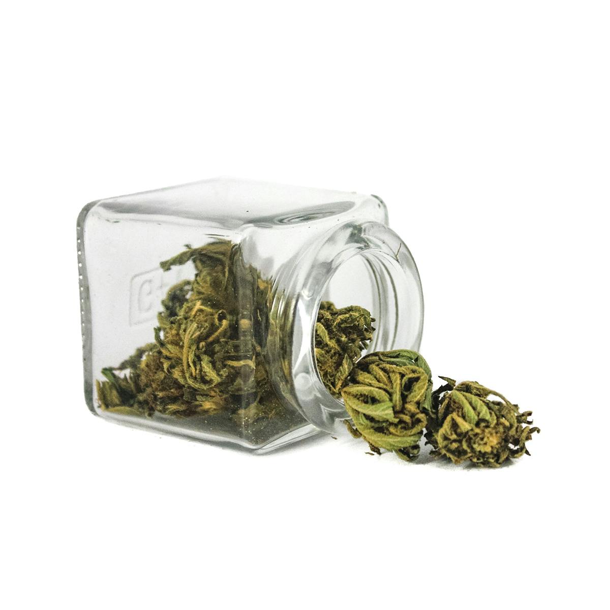 Hanftopia - CBD Blüten Bio Topia - 2g - 1