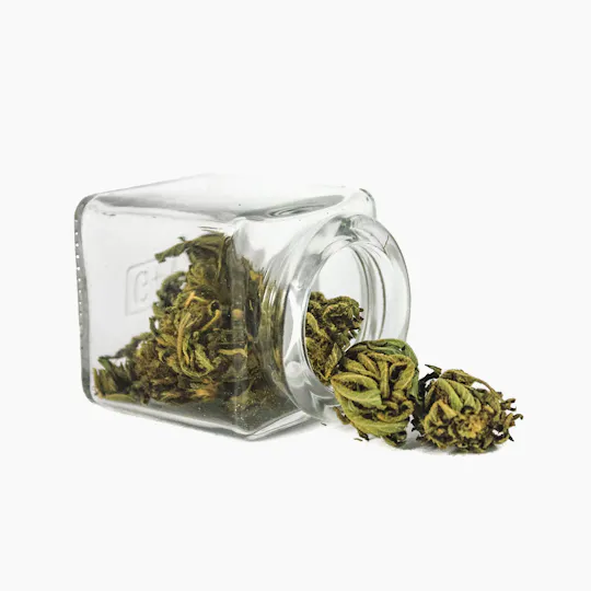Hanftopia - CBD Blüten Bio Topia - 2g - 1