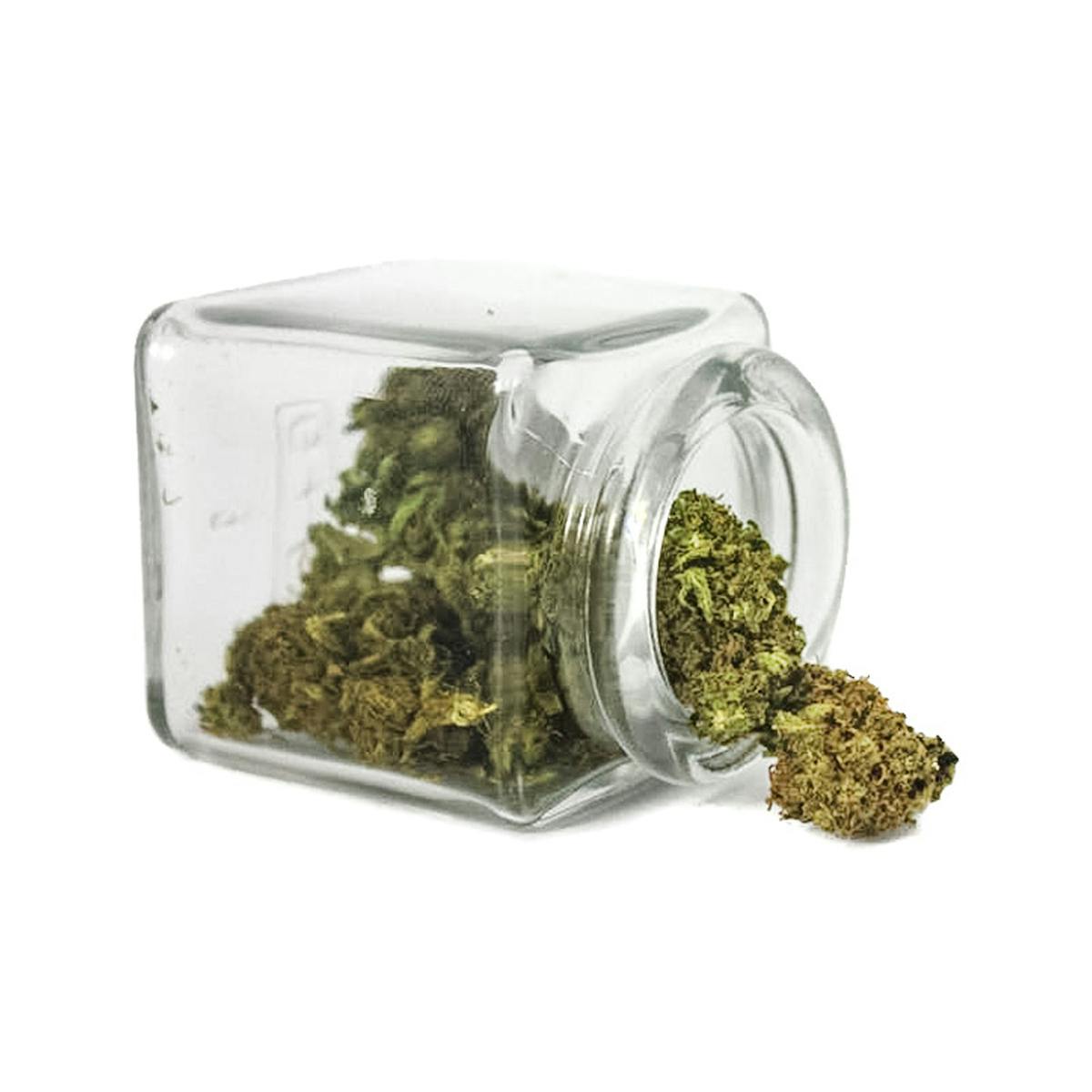 Hanftopia - CBD Blüten Wäldar Krut - 10g - 1