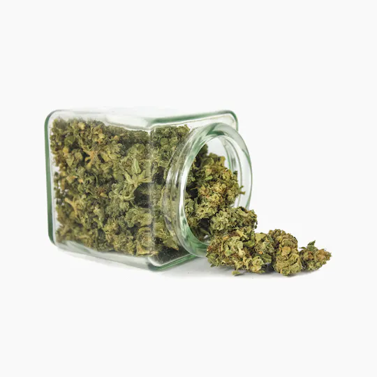 Hanftopia - CBD Blüten Xiberg - 10g - 1