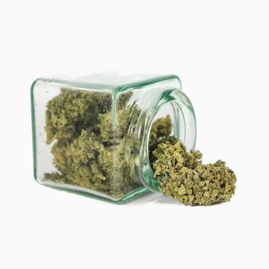 Hanftopia - CBD Blüten Xiberg - 5g - 1