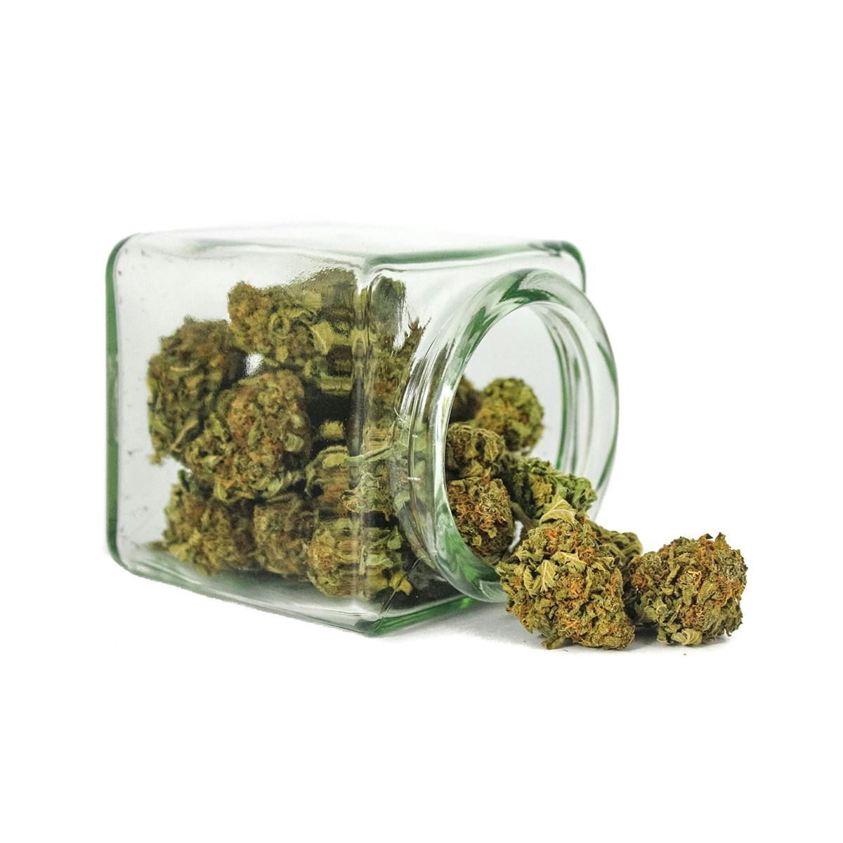 Hanftopia - CBD Blüten Erdberli - 10g - 1