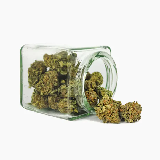 Hanftopia - CBD Blüten Erdberli - 10g - 1