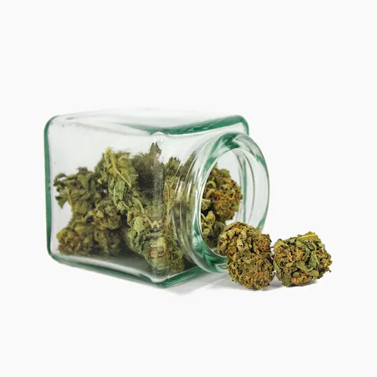 Hanftopia - CBD Blüten Erdberli - 5g - 1