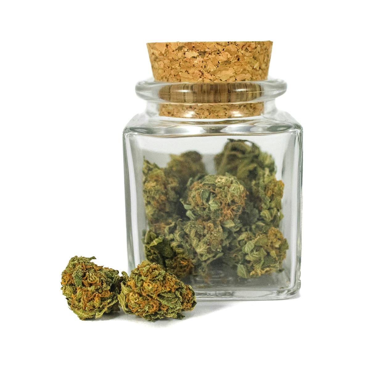 Hanftopia - CBD Blüten Erdberli - 2g - 1