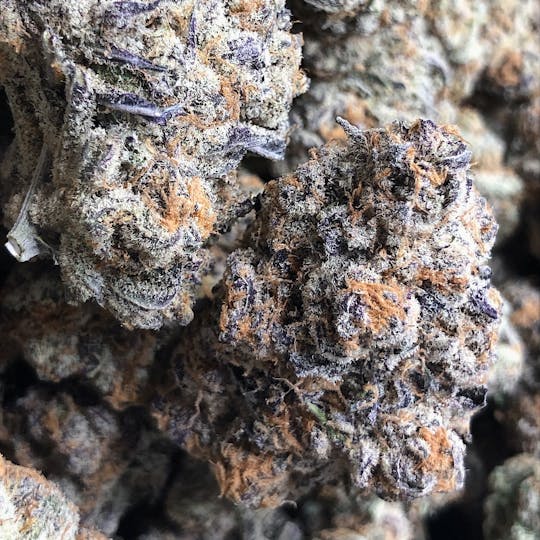 High Tide Organics - Jelly Breath - 1