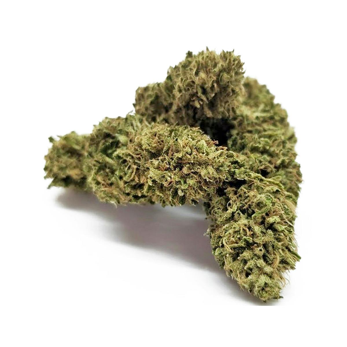 Delightful Hights - M.O.B. - 1