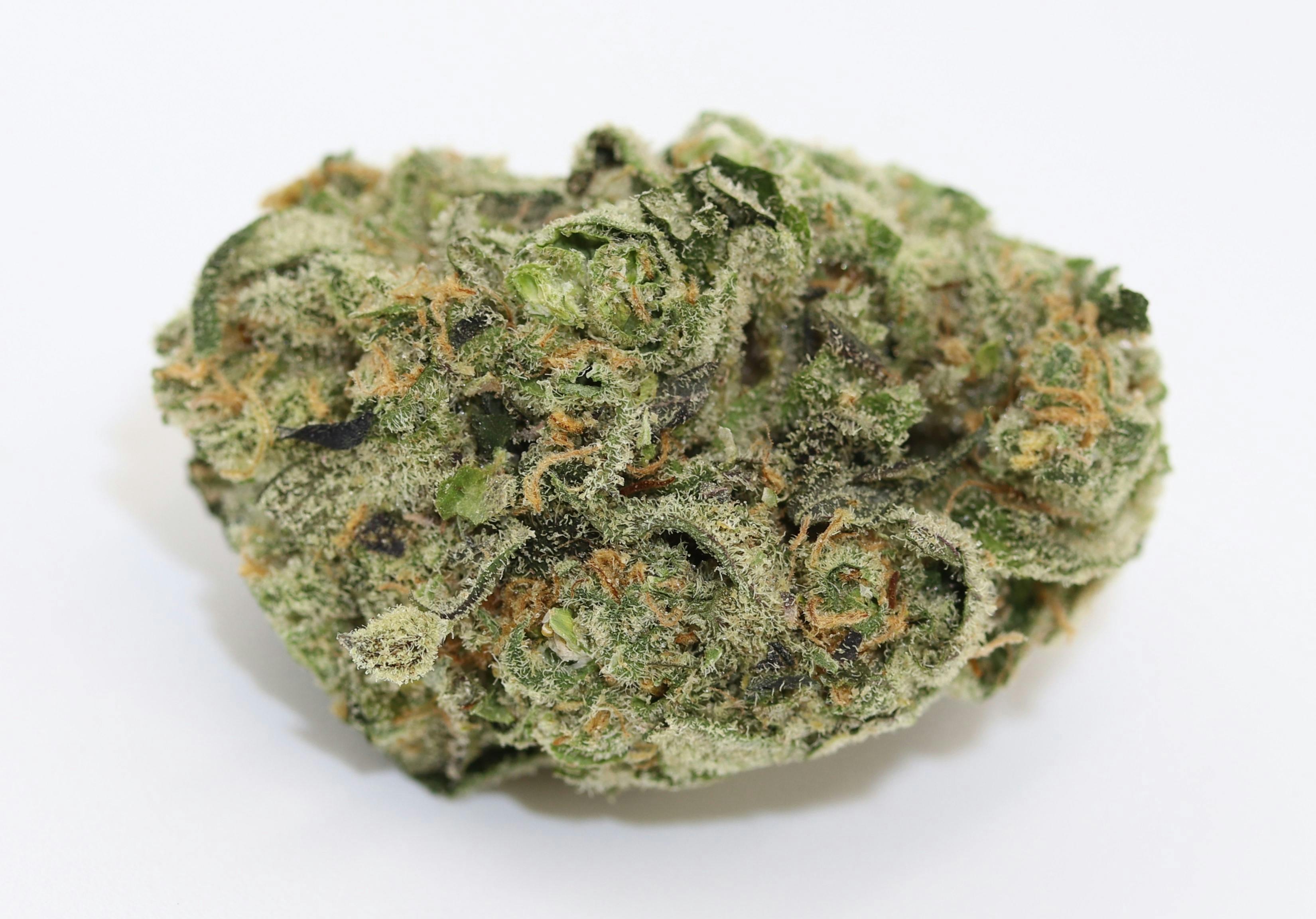 Elevation 207 - Purple Starburst - 1